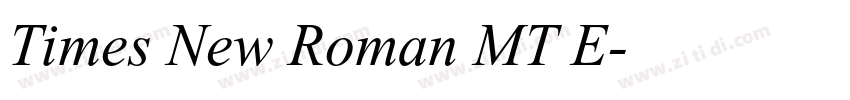 Times New Roman MT E字体转换
